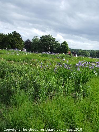 Trentham (3)